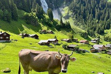 Swiss Alps and Waterfalls Private Tour from Zurich