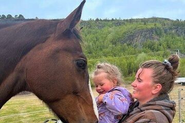 Authentic Alta Experience – Culture, Animals & WWII History