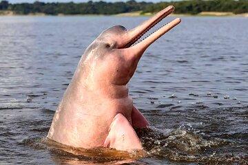 Amazon River Adventure in Pacaya Samiria Reserve 3 days
