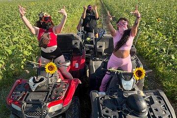 Miami ATV FREE PASSENGER (NO LICENSE OR INSURANCE REQUIRED)