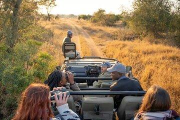 Pilanesberg Tlou Safari Adventure