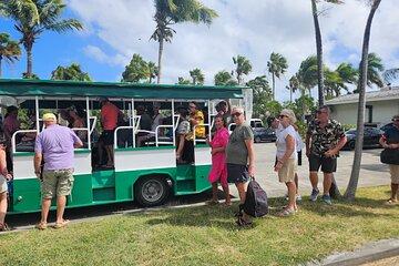 Safari Sightseeing Open Air Adventure