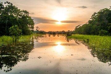 2 Day Experience with Shipibo Culture and Wildlife from Iquitos