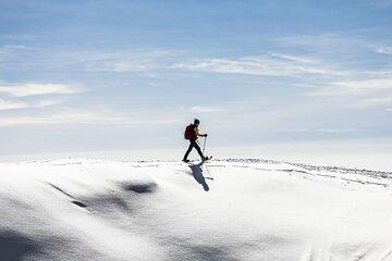 Snowshoe Hike in Tromso – Arctic Silence with Expert Guides