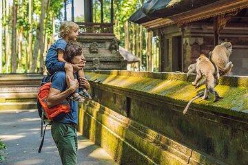 One Day Tour Ubud With Private Guide