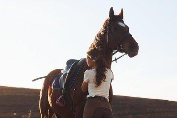 Horseback Riding 2 Hours and Turkish Bath with Sauna – Hurghada