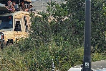 4 Days Masai Mara and Lake Nakuru Budget Safari