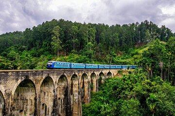 10 Days of Paradise in Sri Lanka Scenic Trains Beaches and More
