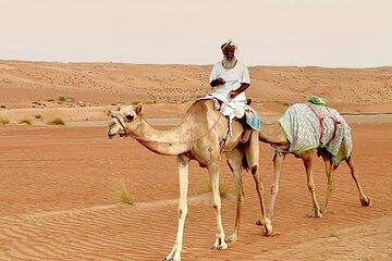 Wahiba Sand Day Trip with Dune Safari and Wadi Bani Khalid