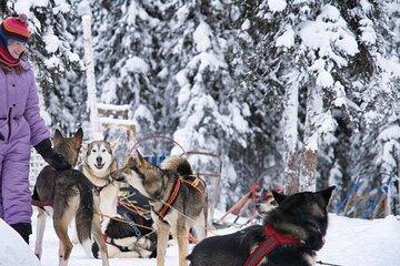 Sledding and Homesteading Adventure
