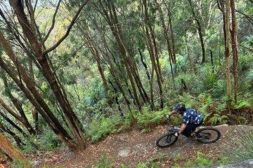 Blue Mountains Electric Bike Tour with Transport