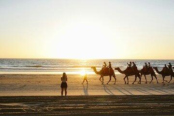 Combo E-Bike Adventure with Camels and Lunch in Cabo