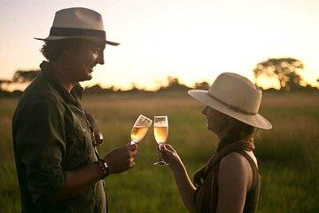 Hwange National Park Day Safari and Bush Picnic