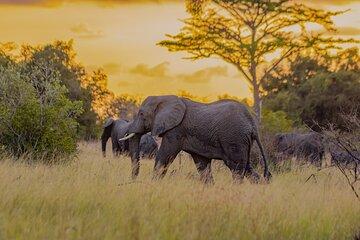 Tanzania Safari, Pangani Beach and Usambara Hiking Tour