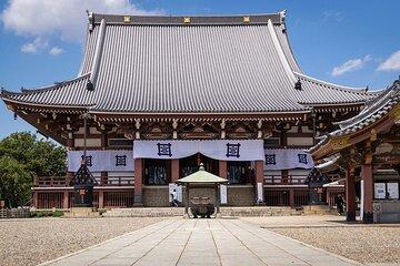 Ikegami Honmonji Temple Walking Tour in Tokyo