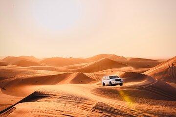 Abu Dhabi Evening Desert Safari: BBQ Dinner, Camel Ride & Shows