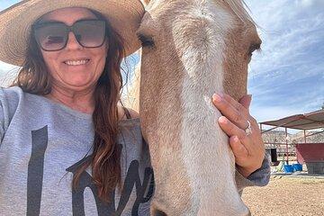 Sacred Horse Medicine Journey near Sedona