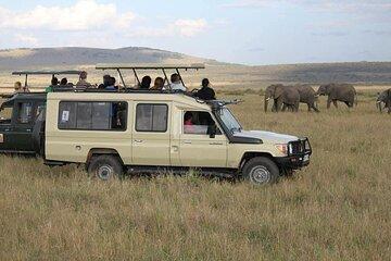 Plan Your 7-Day Maasai Mara to Amboseli Adventure