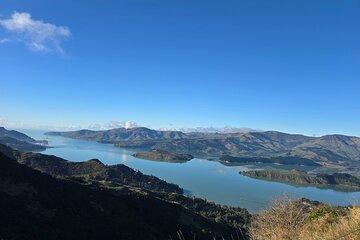 1 Day Premium Private Tour in Christchurch City