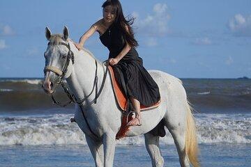 Sunrise Bali Horse Riding Sanur Beach Trot or Canter Experience