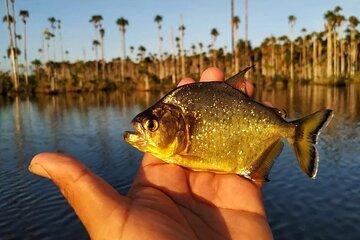 Piranha Fishing on Lake Yacumama