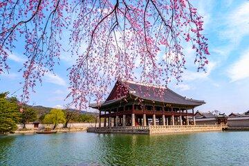 Gyeongbokgung Palace Shared Tour