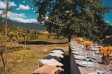 Pompeii & Mount Vesuvius Dinner by Night | Family Table