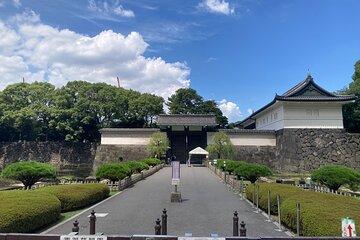 Tokyo Imperial Palace Historical Walk and Food Tasting Tour