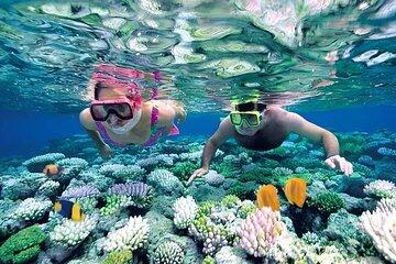 Manta Ray Snorkeling in Nusa Penida Top Spots and Lunch Included