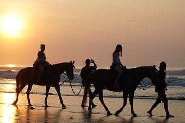 Bali Sunrise Horse Riding and Tour