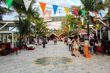 Punta Cana Guided Tour Experiencing Local Culture