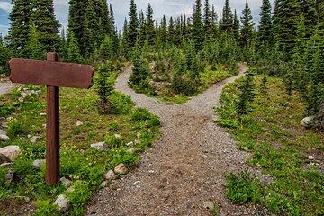 3 Days Vancouver Tour Spotted Lake and Hot Springs