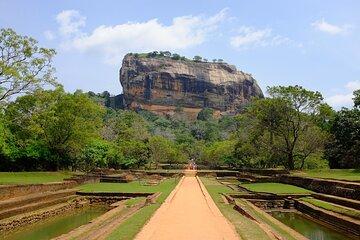 Sigiriya Rock Fortress & Minneriya National Park Private Safari