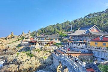 Busan Tailored Tour