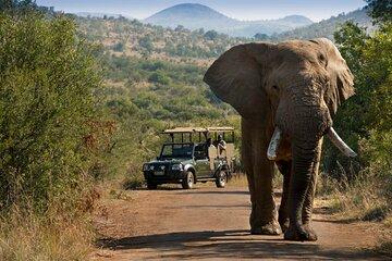 2 Day Tlou Tented Safari Camp In Pilanesberg National Park