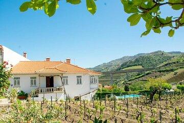 Wine Harvest in Douro Valley: Grape Picking, Tasting & Lunch Tour