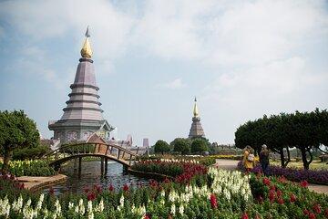 Doi Inthanon Summit Waterfalls and Hill Tribe Day Tour