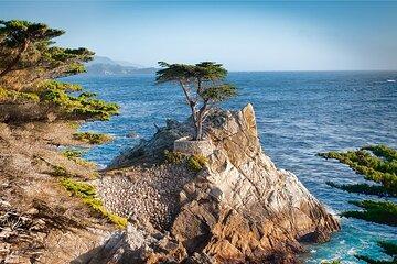 Monterey Peninsula and Carmel by the Sea Small Group Tour