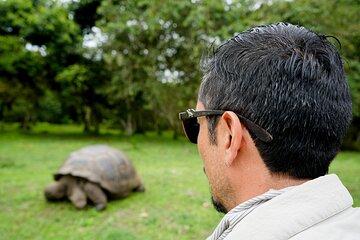 Transfer Baltra to Santa Cruz + Galapagos Tortoise Visit | Shared