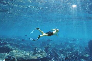 Puerto Morelos Cancun Shared Snorkeling Experience