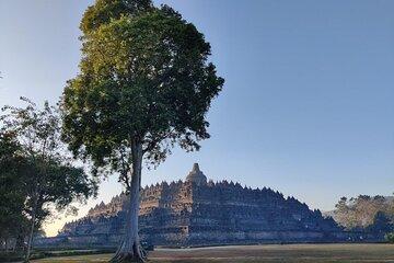 Borobudur Sunrise Tour Early Access and Temple Exploration