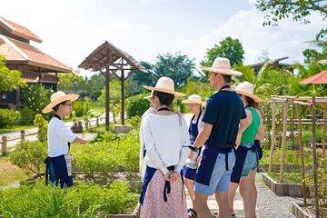 Chiang Mai Farm to Table Thai Cooking Class