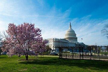 Washington DC Private Scavenger Hunt Tour
