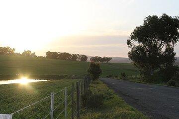 Durbanville Wine Valley Half Day Tour