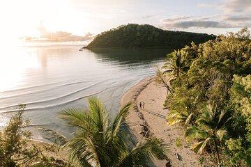 Cairns to Daintree Cape Tribulation 3 Day Tour via Port Douglas