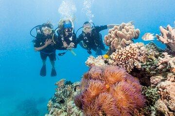 7 Day Brisbane to Cairns Boutique Whitsundays Great Barrier Reef