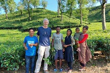 Sreemangal Tea Tour Experience Nature and Culture in a Local way