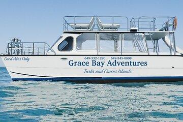Group Catamaran 4 hr tour coral reef fun Iguana island adventure!