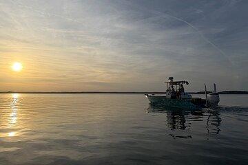 Private Sunset Cruise in Savannah's Low Country