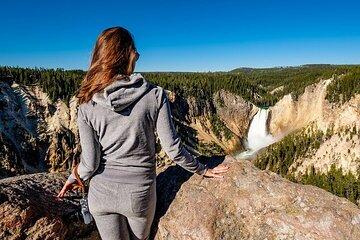 Golden Yellowstone Portraits